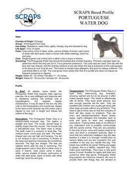 SCRAPS Breed Profile PORTUGUESE WATER DOG