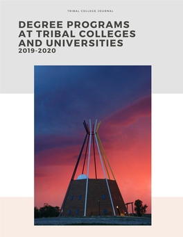 Degree Programs at Tribal Colleges and Universities 2019-2020 Table of Contents