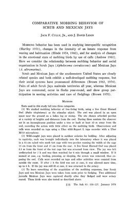 Comparative Mobbing Behavior of Scrub and Mexican Jays