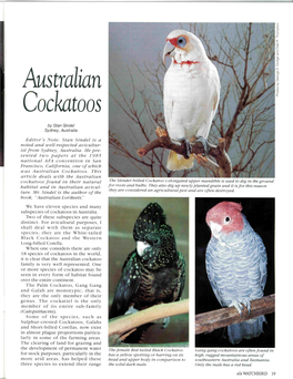 Australian Cockatoos