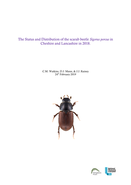 The Status and Distribution of the Scarab Beetle Sigorus Porcus in Cheshire and Lancashire in 2018