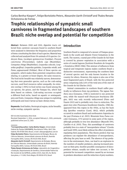 Trophic Relationships of Sympatric Small Carnivores in Fragmented Landscapes of Southern Brazil: Niche Overlap and Potential for Competition