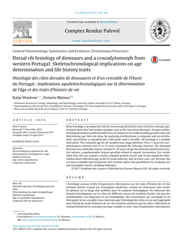 Dorsal Rib Histology of Dinosaurs and a Crocodylomorph from Western Portugal