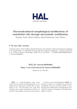 Flavonoid-Induced Morphological Modifications of Endothelial