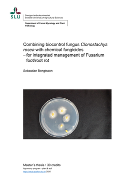 Combining Biocontrol Fungus Clonostachys Rosea with Chemical Fungicides – for Integrated Management of Fusarium Foot/Root Rot