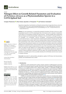 Nitrogen Effect on Growth-Related Parameters and Evaluation of Portulaca Oleracea As a Phytoremediation Species in a Cr(VI)-Spiked Soil