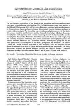 Systematics of Mustelid-Like Carnivores