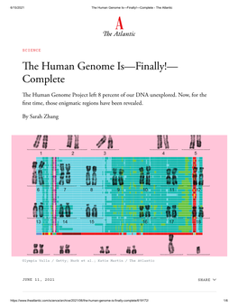 Human Genome Project Left 8 Percent of Our DNA Unexplored