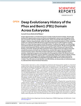 Deep Evolutionary History of the Phox and Bem1 (PB1) Domain Across Eukaryotes Sumanth Kumar Mutte & Dolf Weijers*