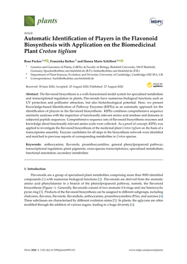 Automatic Identification of Players in the Flavonoid Biosynthesis With