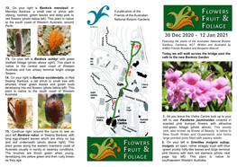 30 Dec 2020 - 12 Jan 2021 Featuring the Plants of the Australian National Botanic Gardens, Canberra, ACT