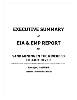 Executive Summary Eia & Emp Report