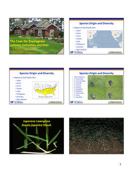 The Case for Zoysiagrass – India Cultivars, Cultivation, and Pests – Philippines – Australia J