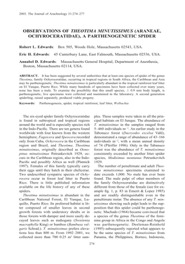 Observations of Theotima Minutissimus (Araneae, Ochyroceratidae), a Parthenogenetic Spider