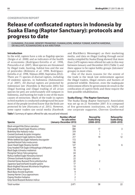 Release of Confiscated Raptors in Indonesia by Suaka Elang