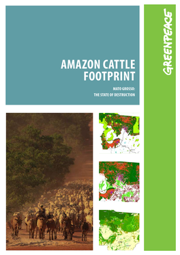 Amazon Cattle Footprint Mato Grosso: the State of Destruction Areas Under Threat