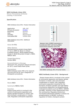 NEK2 Antibody (Clone 2F6) Mouse Monoclonal Antibody Catalog # ALS14108