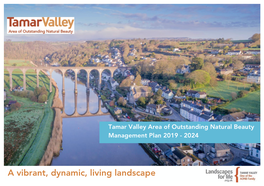 Tamar Valley Area of Outstanding Natural Beauty Management Plan 2019 - 2024