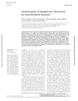 Orchestration of Lymphocyte Chemotaxis By