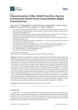 Characterization of Blue Mold Penicillium Species Isolated from Stored Fruits Using Multiple Highly Conserved Loci