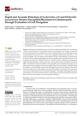 Rapid and Accurate Detection of Escherichia Coli and Klebsiella Pneumoniae Strains Susceptible/Resistant to Cotrimoxazole Through Evaluation of Cell Elongation