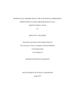 University of Texas at Arlington Dissertation Template