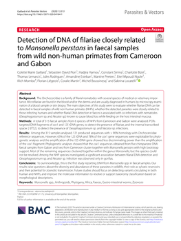 Detection of DNA of Filariae Closely Related to Mansonella Perstans In