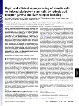 Rapid and Efficient Reprogramming of Somatic Cells to Induced Pluripotent