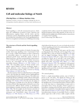 REVIEW Cell and Molecular Biology of Notch