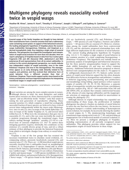 Multigene Phylogeny Reveals Eusociality Evolved Twice in Vespid Wasps