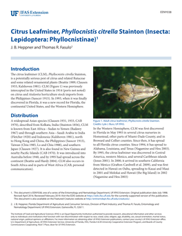 Citrus Leafminer, Phyllocnistis Citrella Stainton (Insecta: Lepidoptera: Phyllocnistinae)1 J