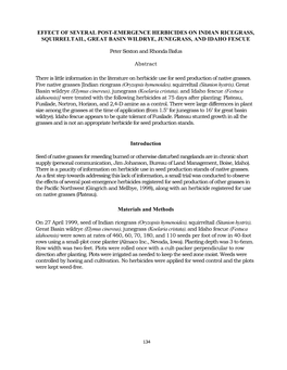 Effect of Several Post-Emergence Herbicides on Indian Ricegrass, Squirreltail, Great Basin Wildrye, Junegrass, and Idaho Fescue