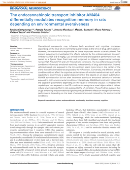 The Endocannabinoid Transport Inhibitor AM404 Differentially Modulates Recognition Memory in Rats Depending on Environmental Aversiveness