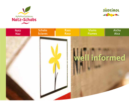 Well Informed Tourism Association Natz-Schabs / Office Naz-Sciaves