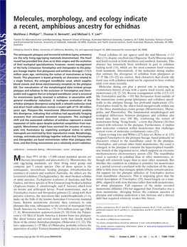 Molecules, Morphology, and Ecology Indicate a Recent, Amphibious Ancestry for Echidnas