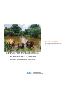 COMPLEX POST-TRAUMATIC STRESS DISORDER in THAI ELEPHANTS Prevalence and Management Implications