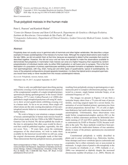 True Polyploid Meiosis in the Human Male