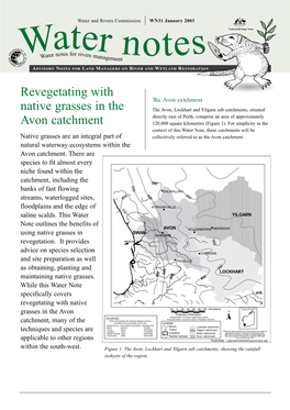 Revegetating with Native Grasses in the Avon Catchment, Many of the Techniques and Species Are Applicable to Other Regions Within the South-West