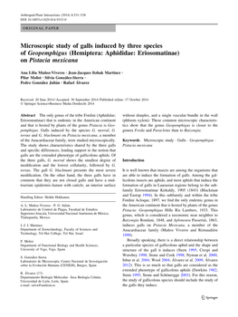 Microscopic Study of Galls Induced by Three Species of Geopemphigus (Hemiptera: Aphididae: Eriosomatinae) on Pistacia Mexicana