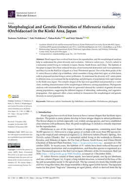 Morphological and Genetic Diversities of Habenaria Radiata (Orchidaceae) in the Kinki Area, Japan