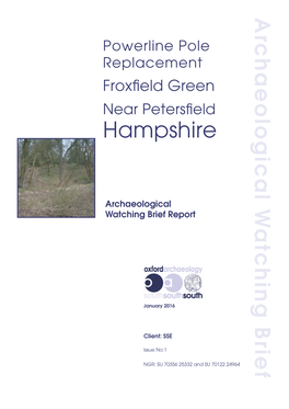 Powerline Pole Replacement, Froxfield Green, Near Petersfield, Hampshire