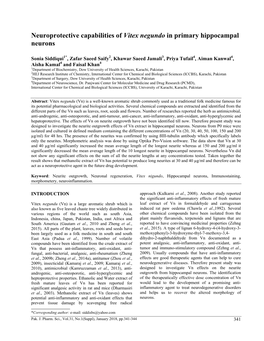 Neuroprotective Capabilities of Vitex Negundo in Primary Hippocampal Neurons