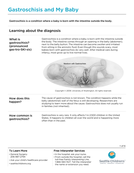 PE731 Gastroschisis and My Baby