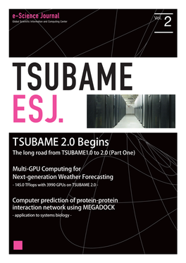 TSUBAME 2.0 Begins the Long Road from TSUBAME1.0 to 2.0 (Part One)