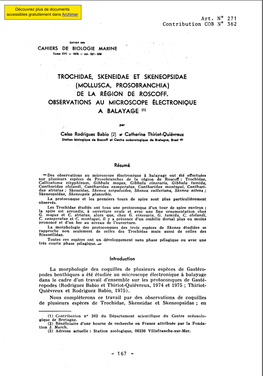 Trochidae, Skeneidae Et Skenéopsidae