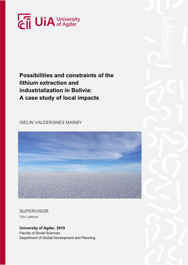 Possibilities and Constraints of the Lithium Extraction and Industrialization in Bolivia