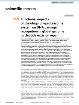 Functional Impacts of the Ubiquitin–Proteasome System on DNA