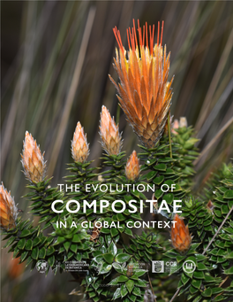 The Evolution of Compositae in a Global Context