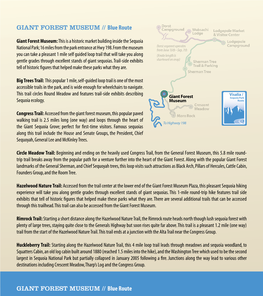 GIANT FOREST MUSEUM // Blue Route GIANT