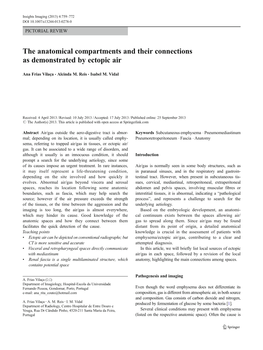 The Anatomical Compartments and Their Connections As Demonstrated by Ectopic Air